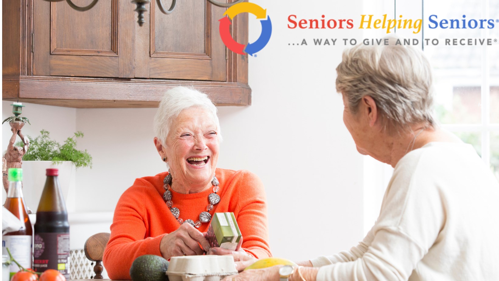 Would being “a senior helping other seniors” get YOU back to work?