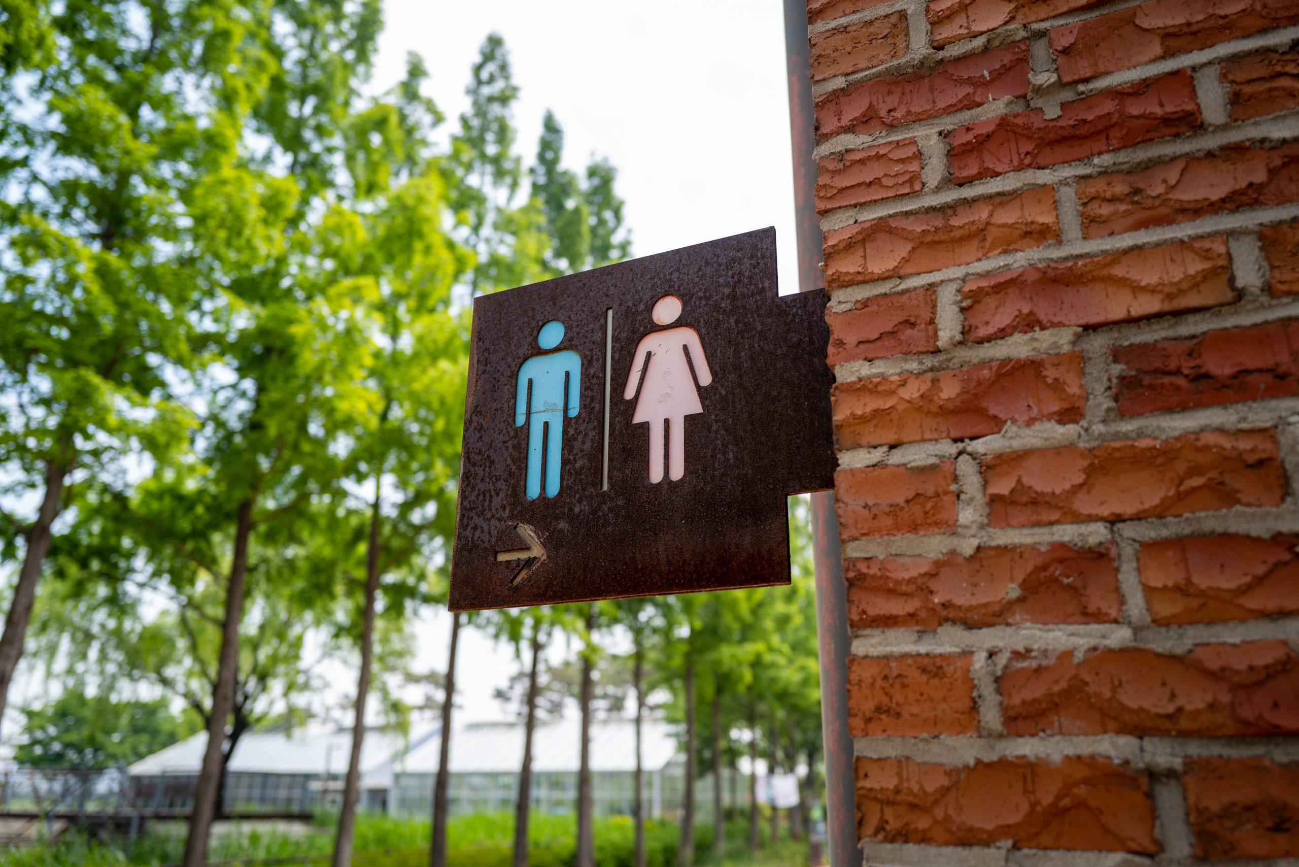 Public toilets closures: more than just an inconvenience…