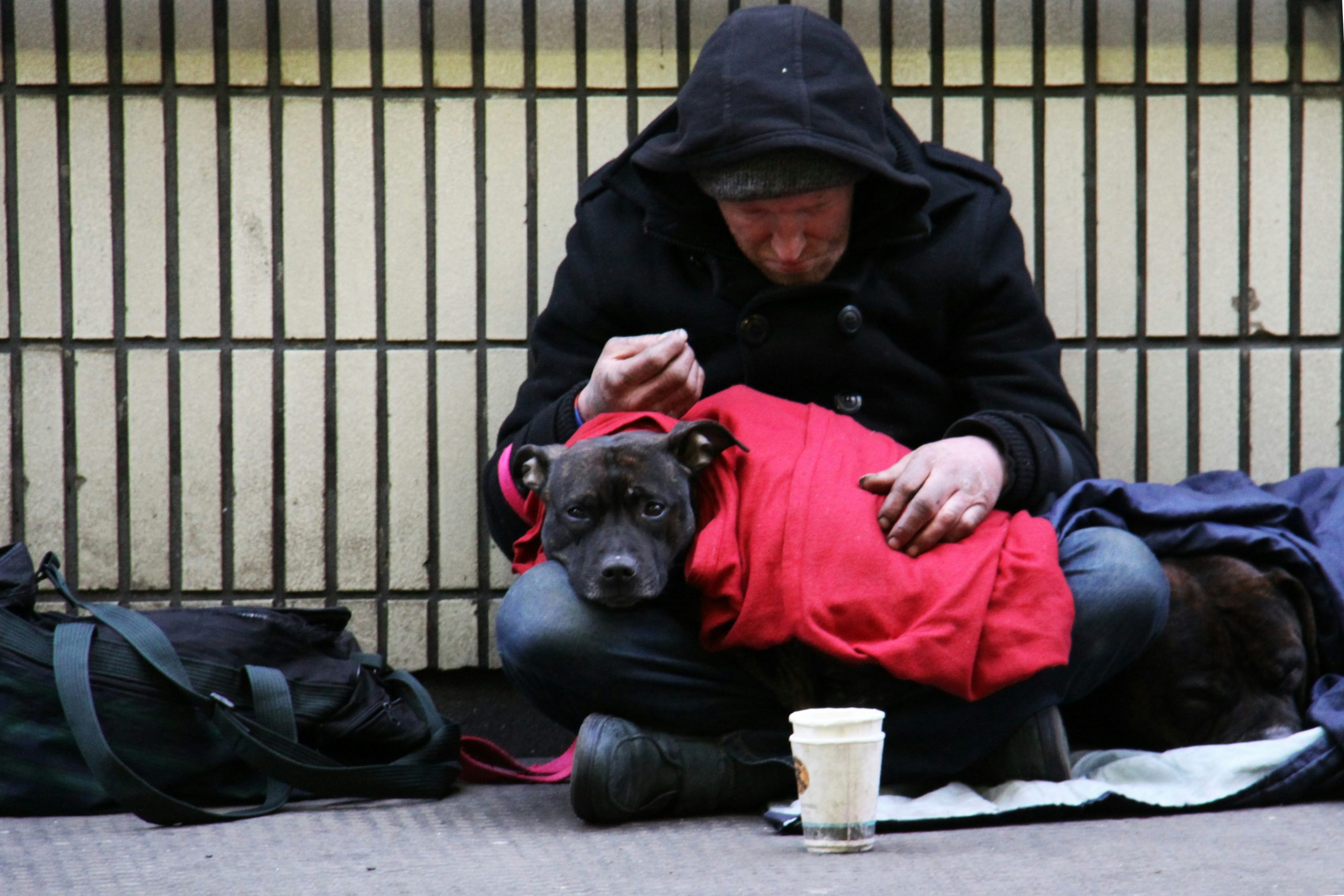 The “scandal” of homelessness among older people condemned